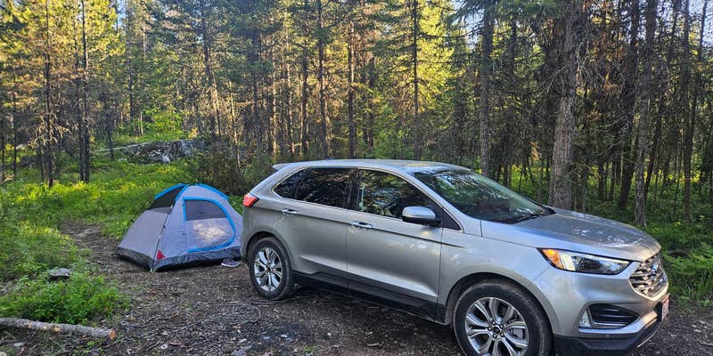 Camper submitted image from Ryan Road Dispersed Camping