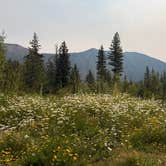 Review photo of Ryan Road Dispersed Camping by Becky G., July 22, 2026
