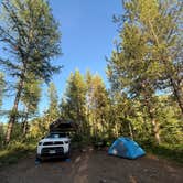 Review photo of Ryan Road Dispersed Camping by Liv H., July 2, 2026