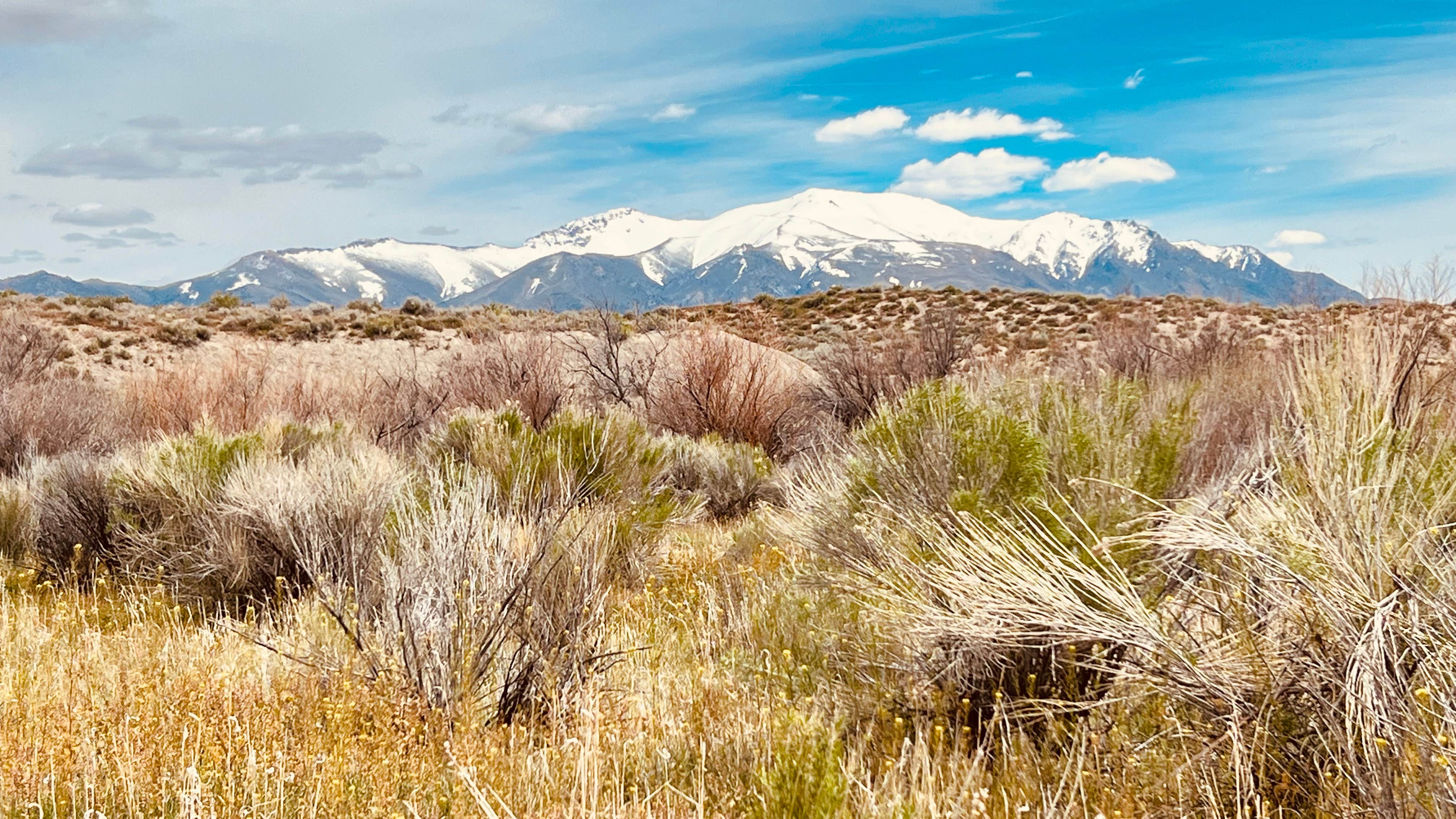 Camper-submitted photo at Rye Patch BLM Nevada near Lovelock, NV
