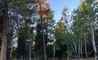 Mary Ann F.'s photo of camping with pets at S Antelope Flat Road in Idaho
