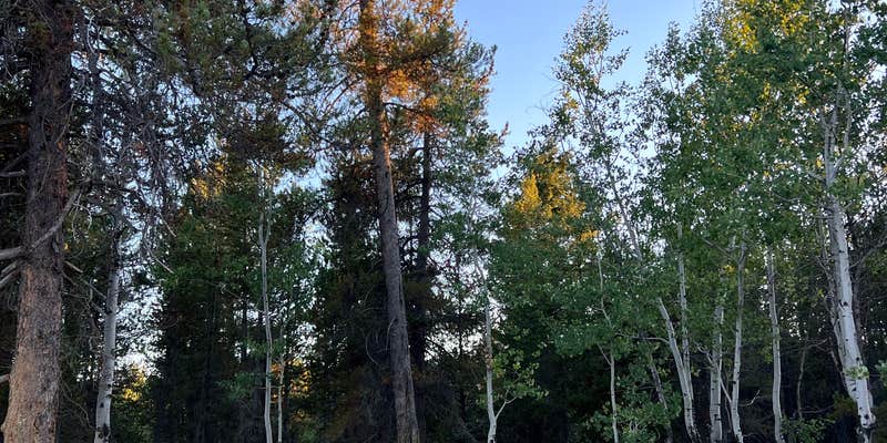 Camper submitted image from S Antelope Flat Road