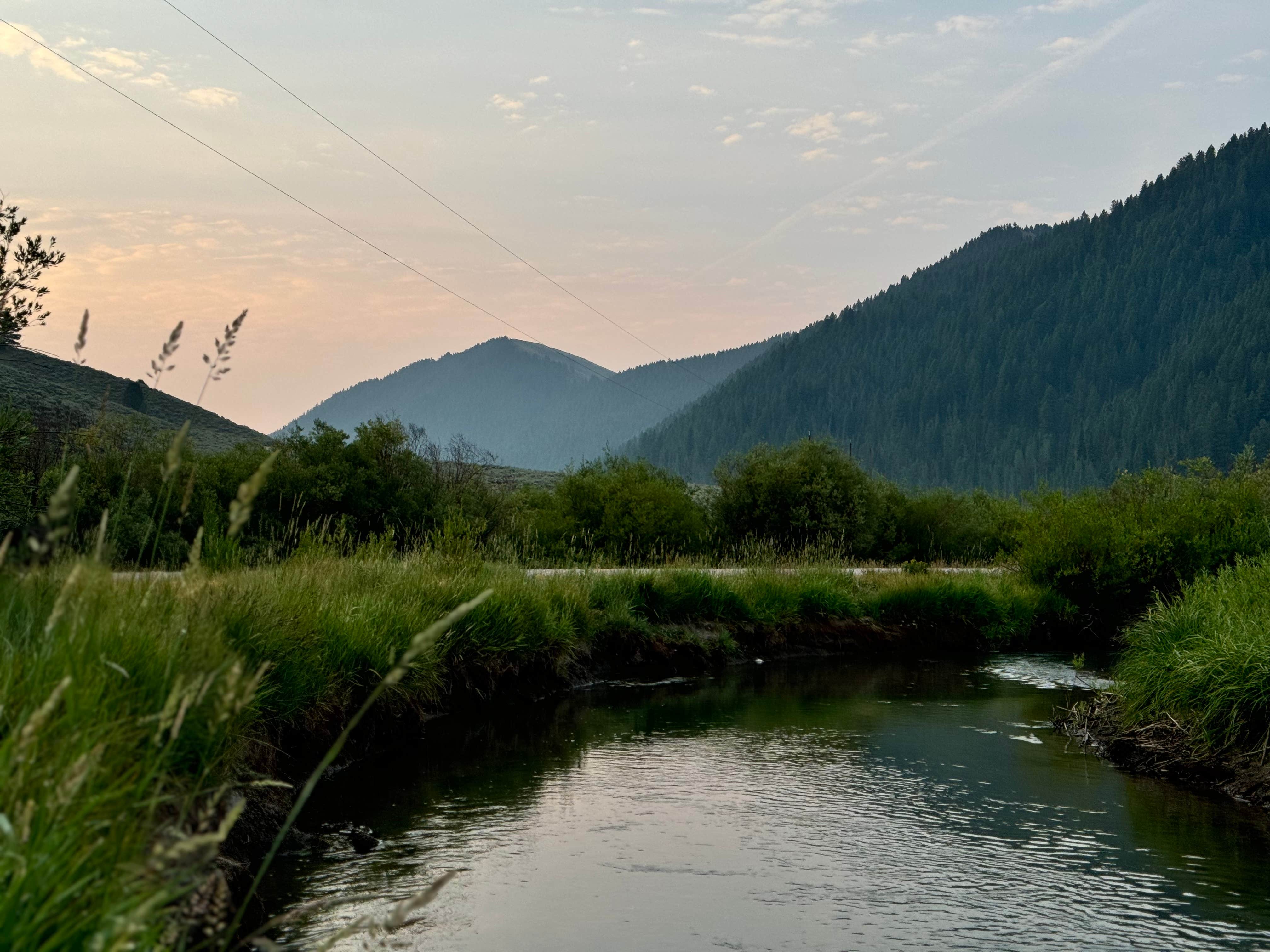 joy M.'s photo of a dispersed camping area at S Fall Creek Road Dispersed near Wilson, WY