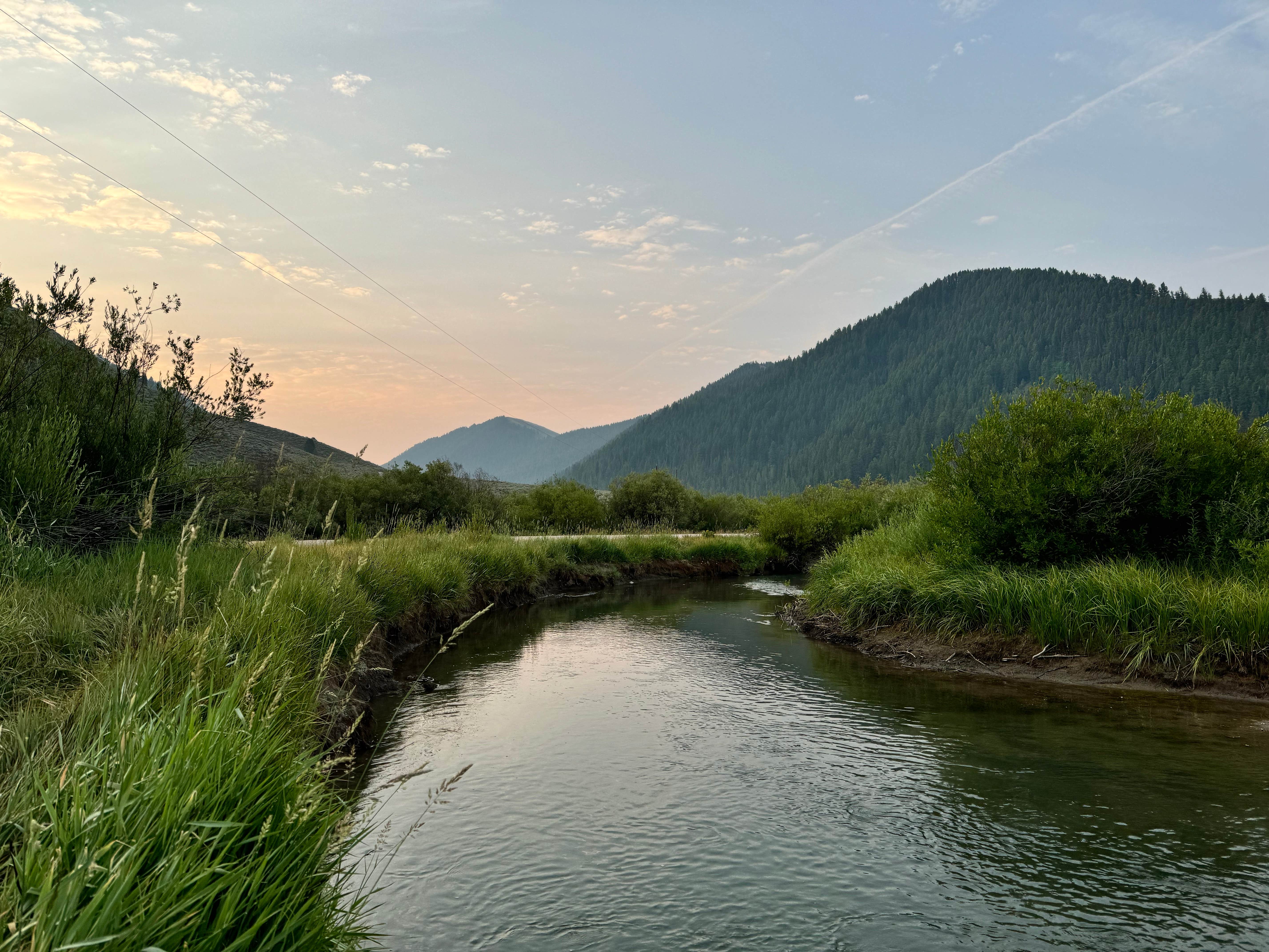 Camper-submitted photo at S Fall Creek Road Dispersed near Wilson, WY