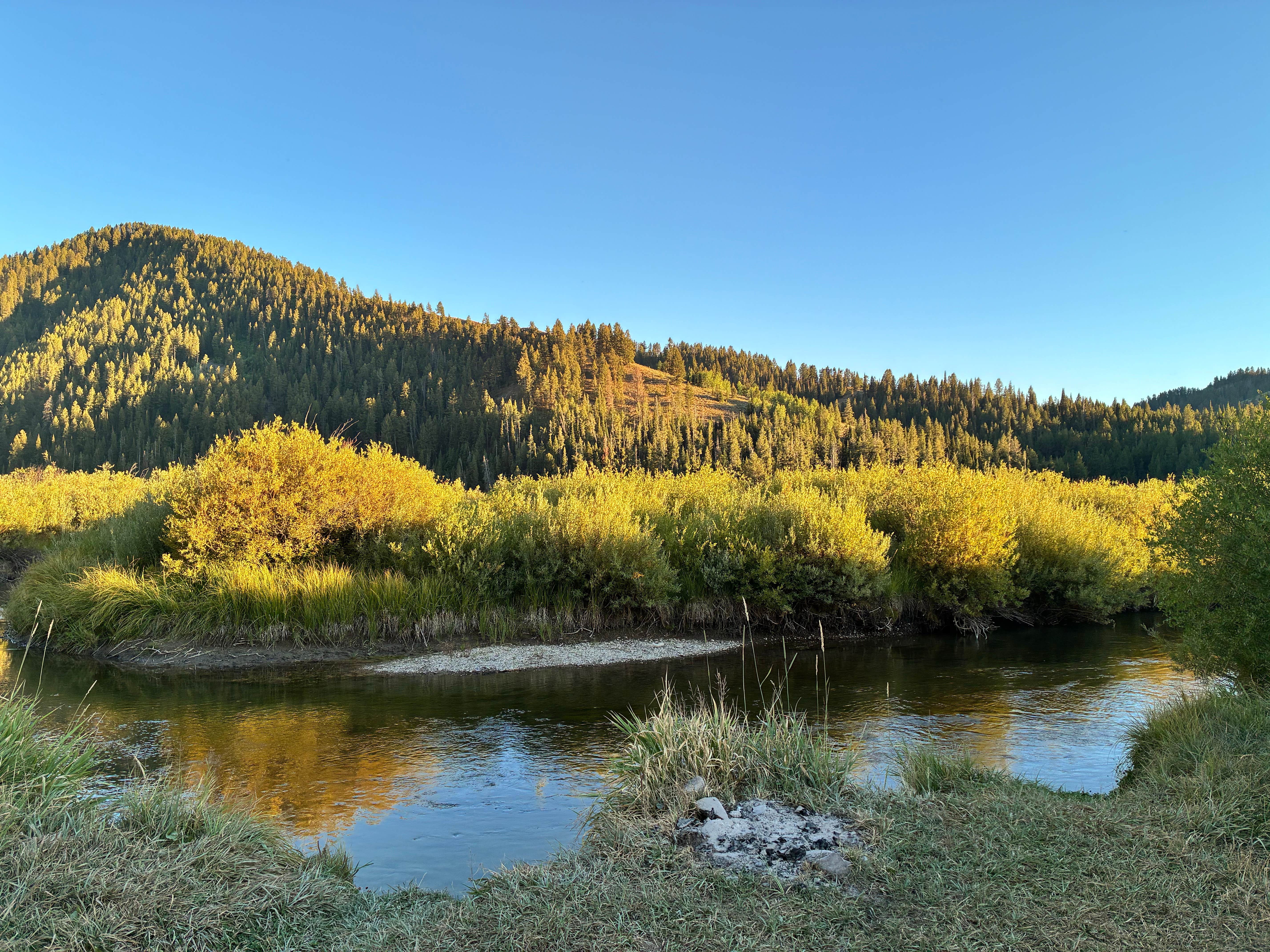 Camping near Jackson Hole/Snake River Park KOA: S Fall Creek Road Dispersed, Jackson, Wyoming