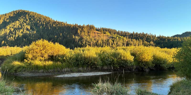 Camper submitted image from S Fall Creek Road Dispersed