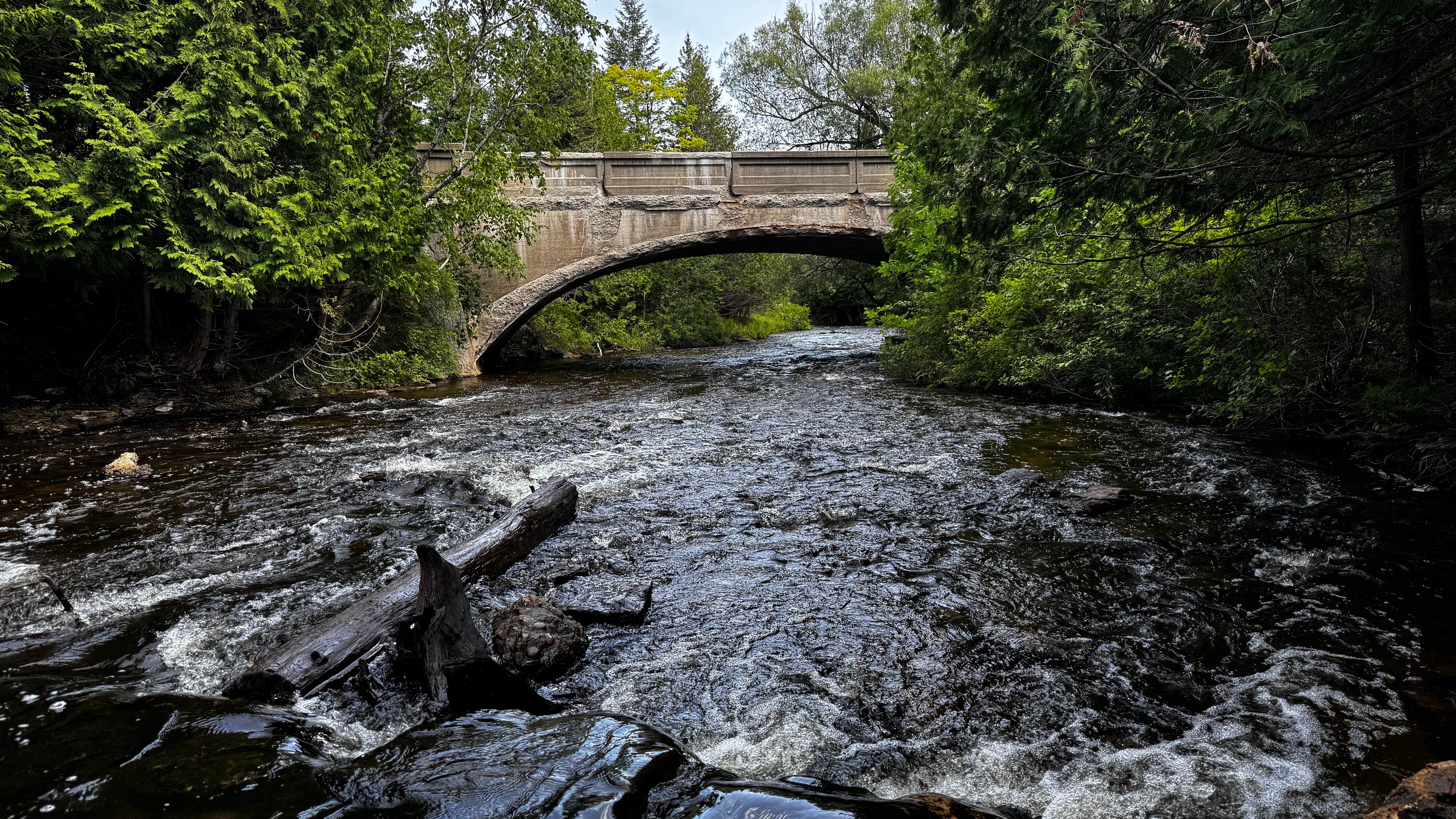 Camper-submitted photo at Ocqueoc Falls State Forest Campground near Onaway, MI