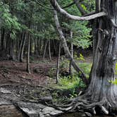 Review photo of Ocqueoc Falls State Forest Campground by Laura , July 30, 2024