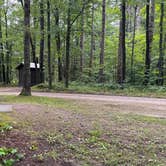 Review photo of Ocqueoc Falls State Forest Campground by Laura , July 30, 2024