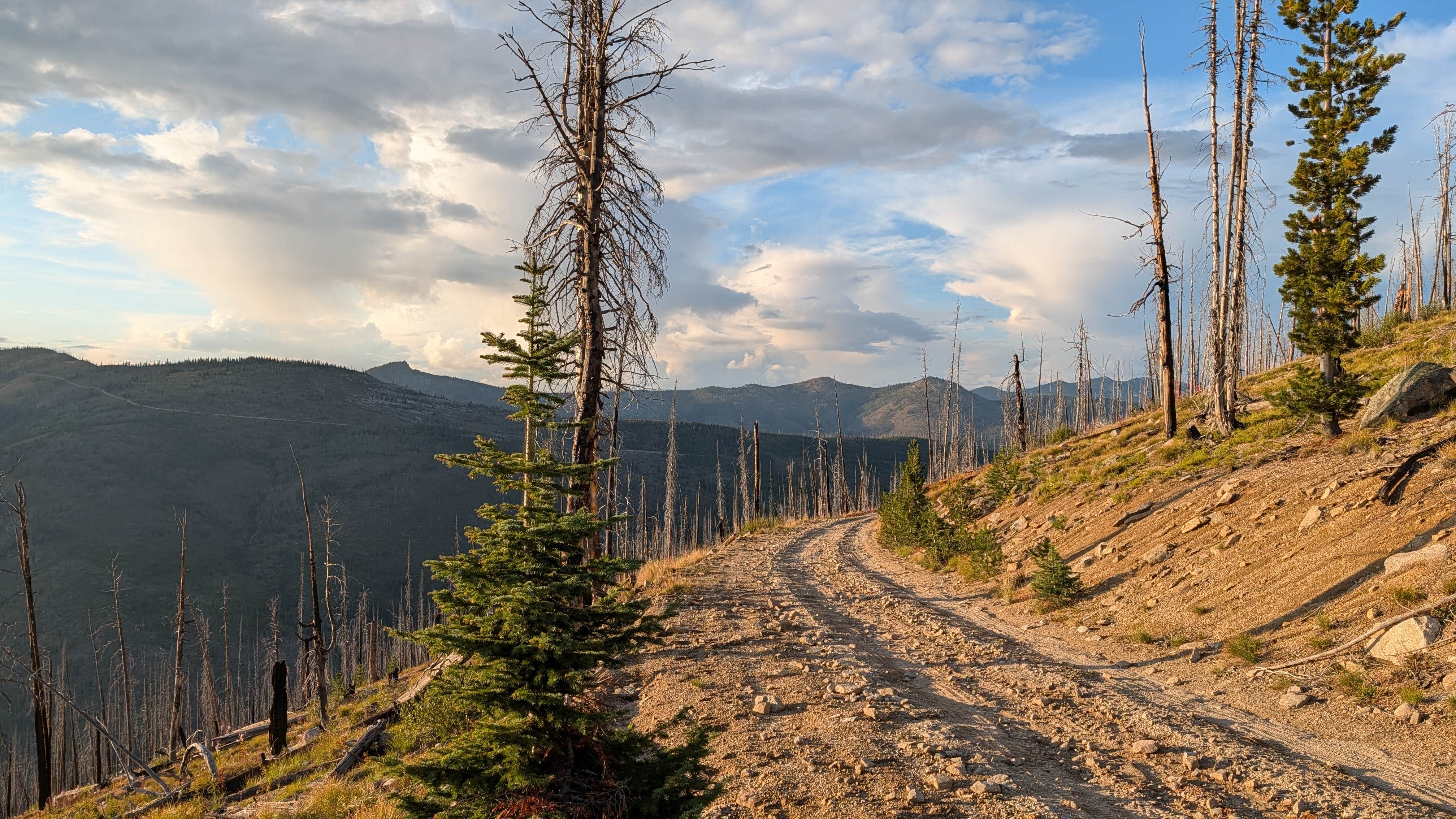 Camper-submitted photo at Sabe Vista Point near Bitterroot National Forest