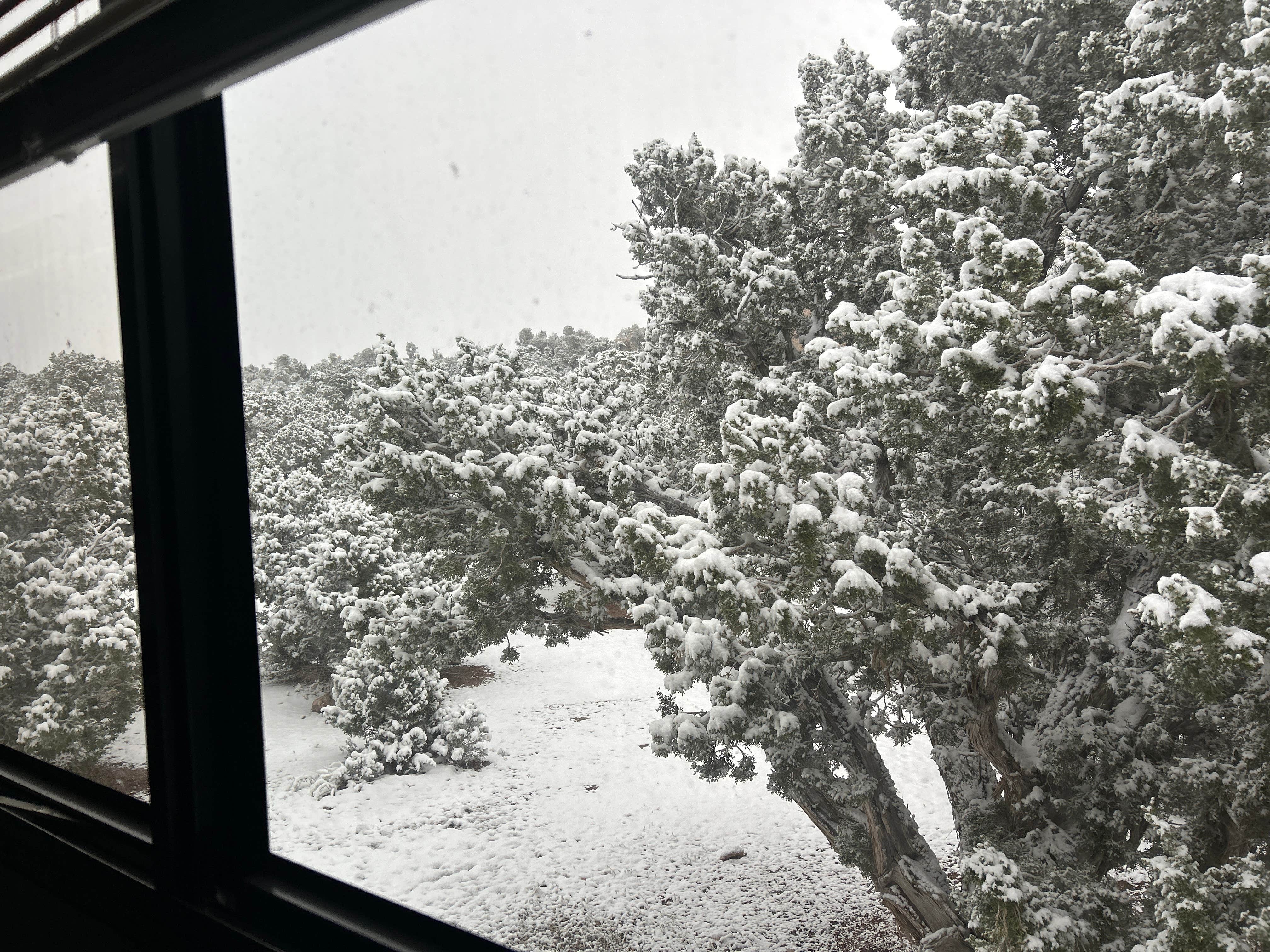 Sacramento Pass BLM Campground