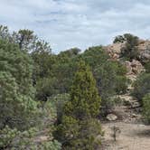 Review photo of Sacramento Pass BLM Campground by Lynn , July 22, 2026