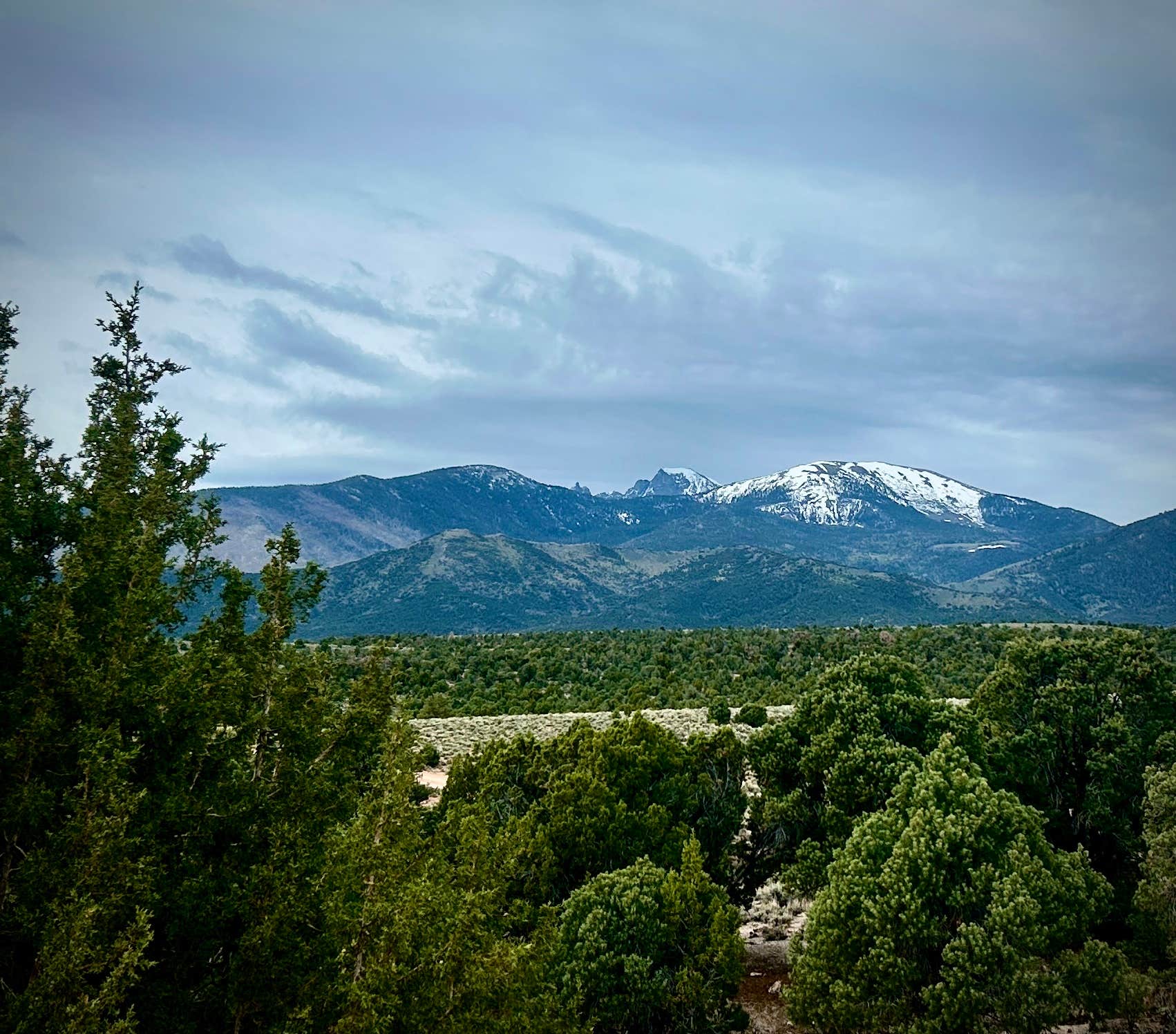 Camper-submitted photo at Sacramento Pass BLM Campground near Great Basin National Park