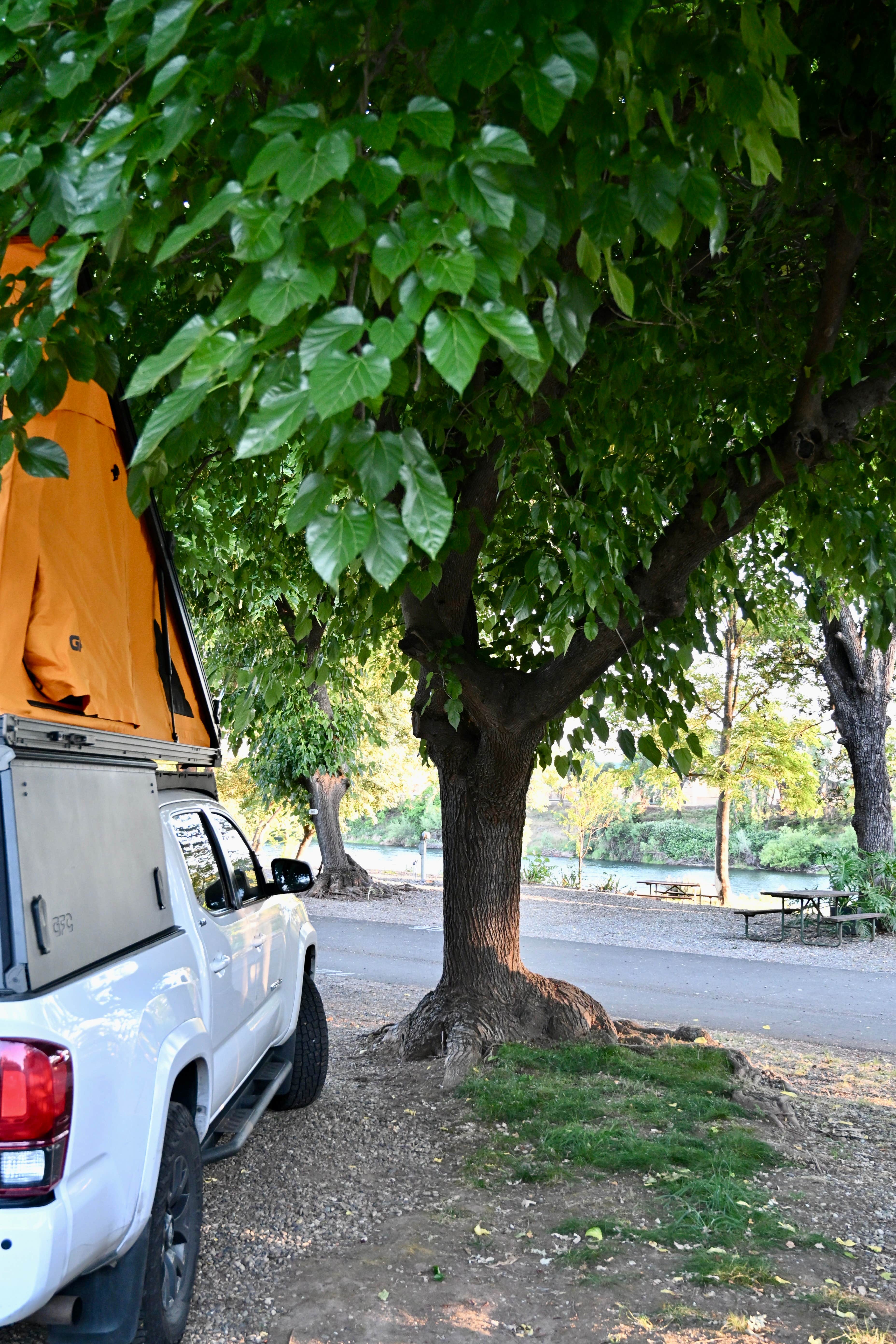 Camper-submitted photo at Sacramento River RV Park near Shasta Lake, CA