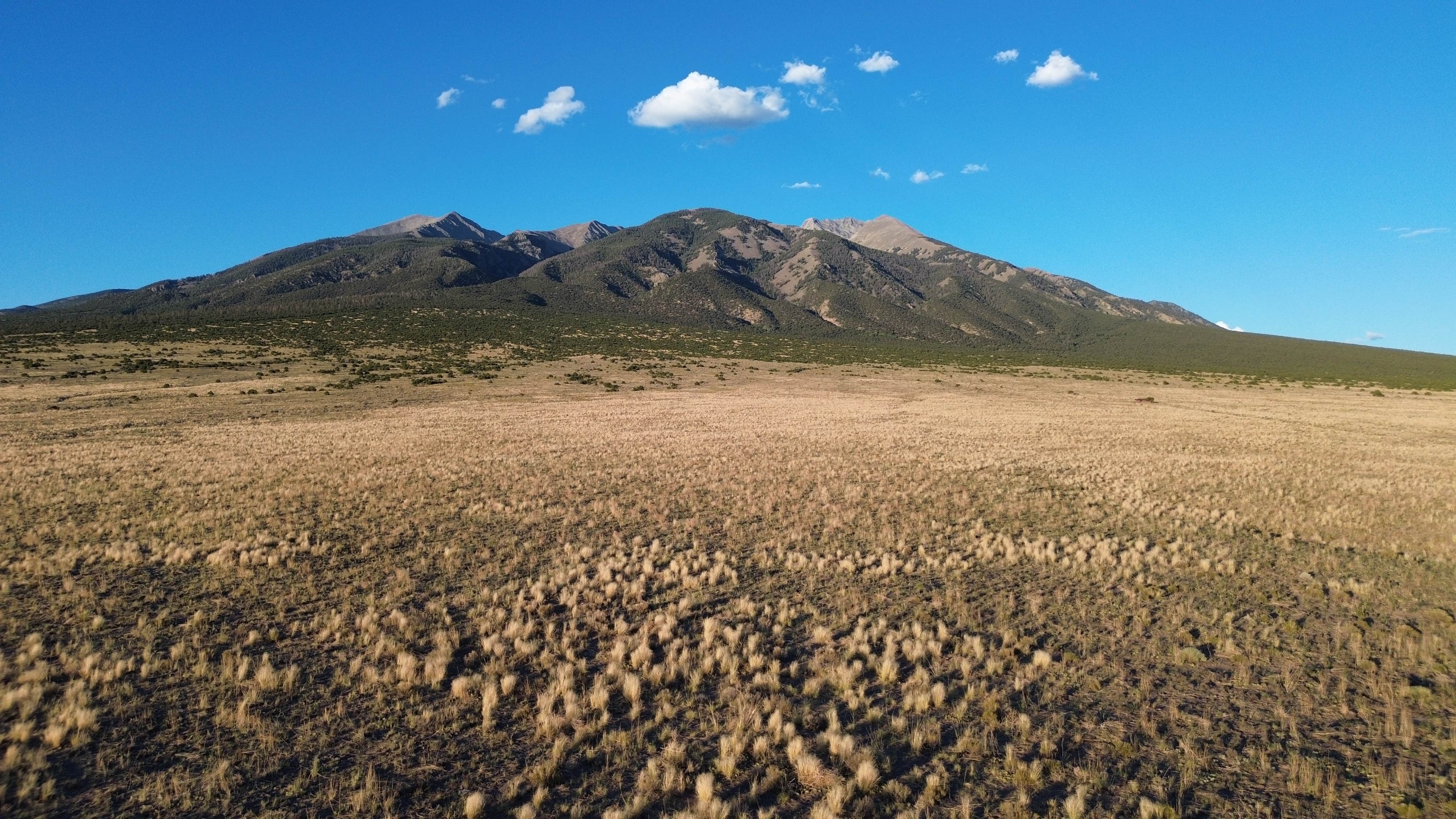 Camper-submitted photo at Sacred White Shell Dispersed Camping near La Jara, CO