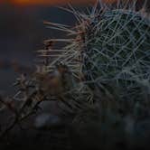 Review photo of Sacred White Shell Dispersed Camping by Chenoa B., May 9, 2026