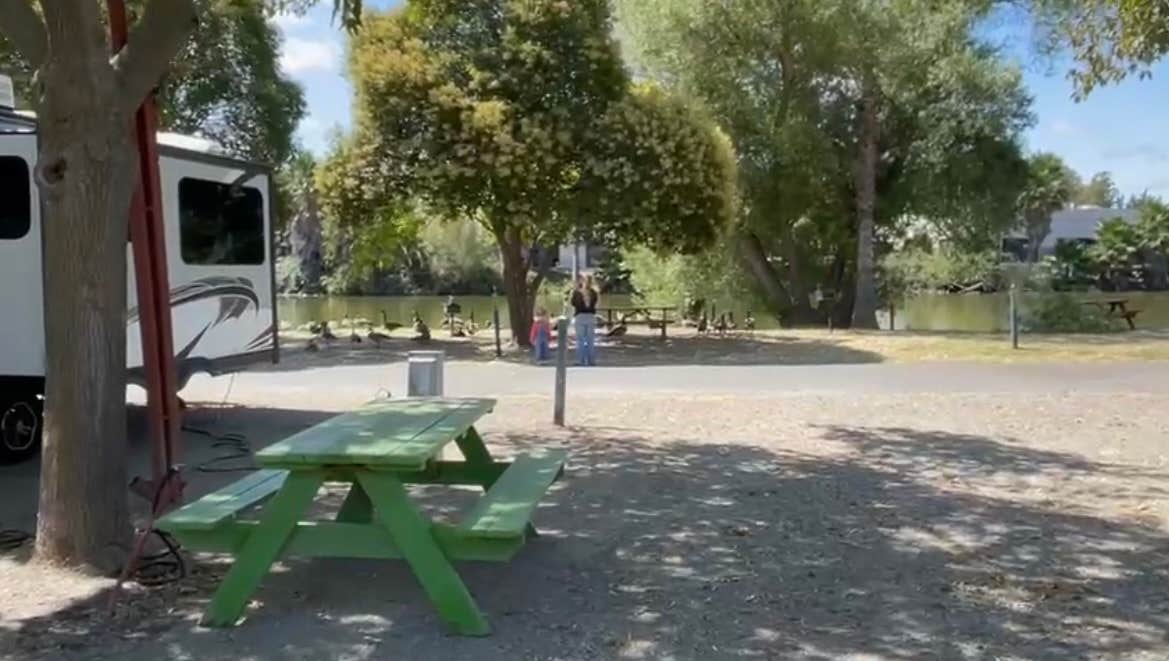 Camper-submitted photo at SacWest RV Park & Campground near Oakley, CA