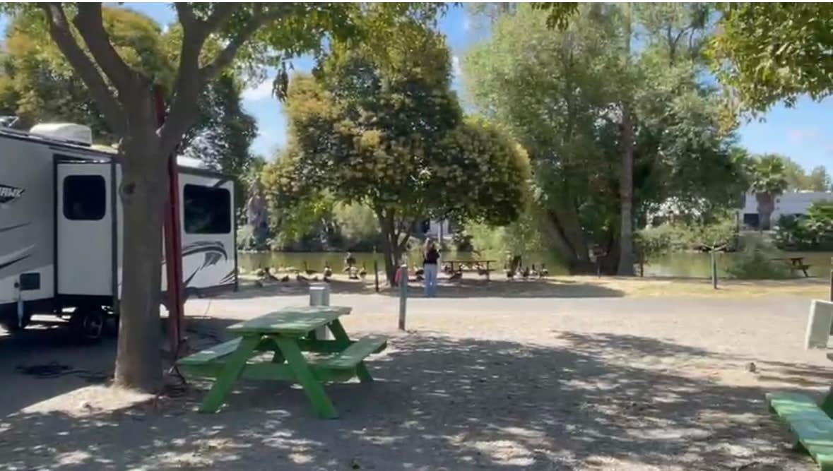 Camper-submitted photo at SacWest RV Park & Campground near Winters, CA