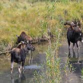Review photo of Saddle Camp Loop by Jerry G., September 27, 2026