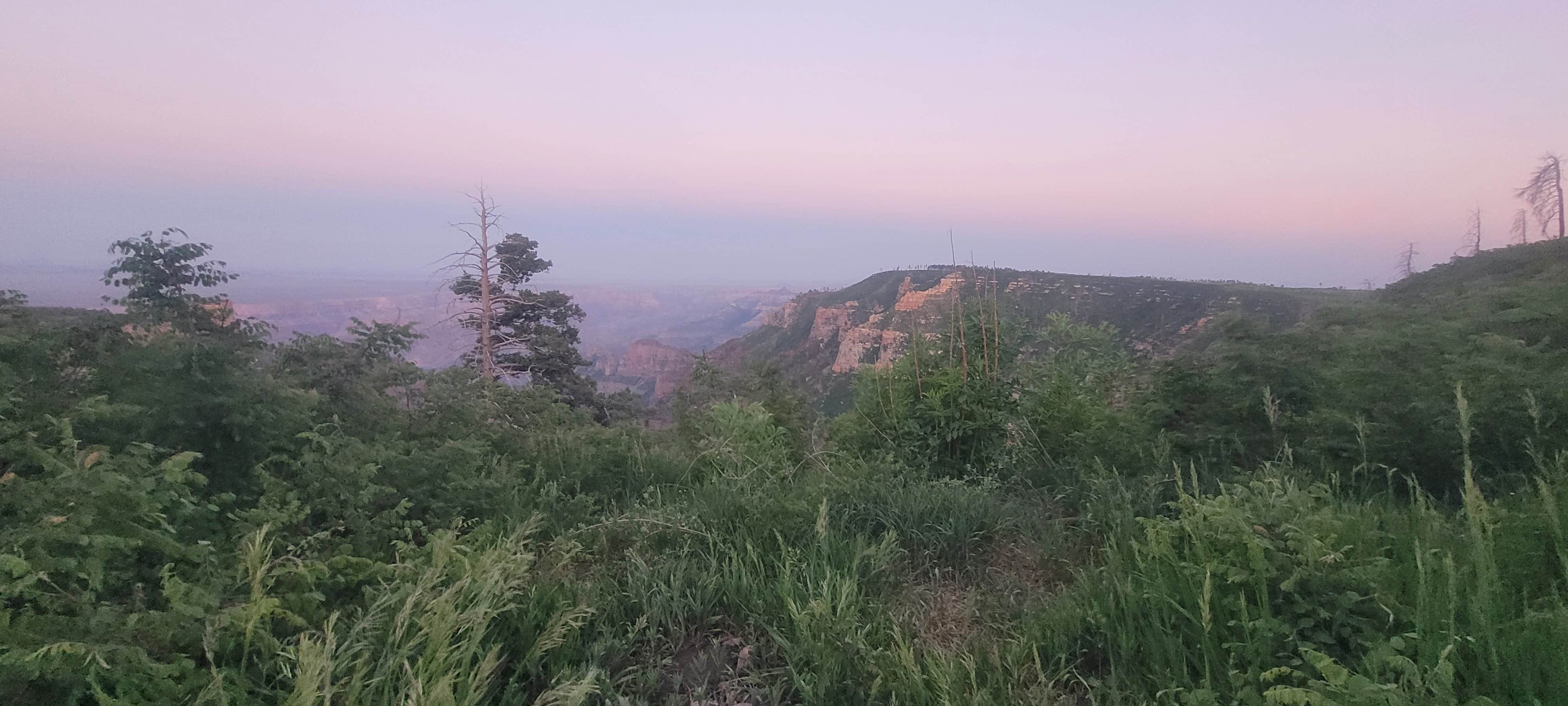 Camper-submitted photo at Saddle Canyon Outlook North Rim Dispersed near Grand Canyon National Park