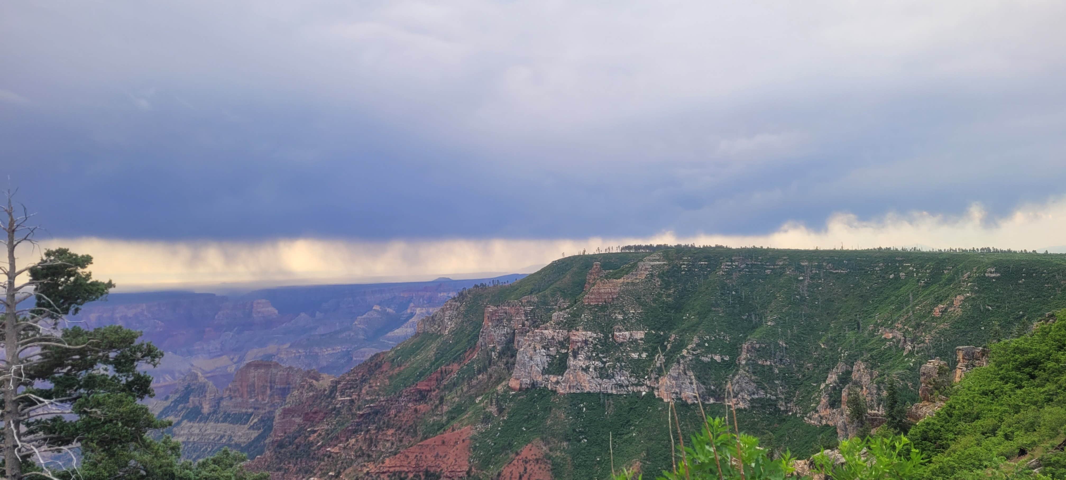 Camper-submitted photo at Saddle Canyon Outlook North Rim Dispersed near Grand Canyon National Park