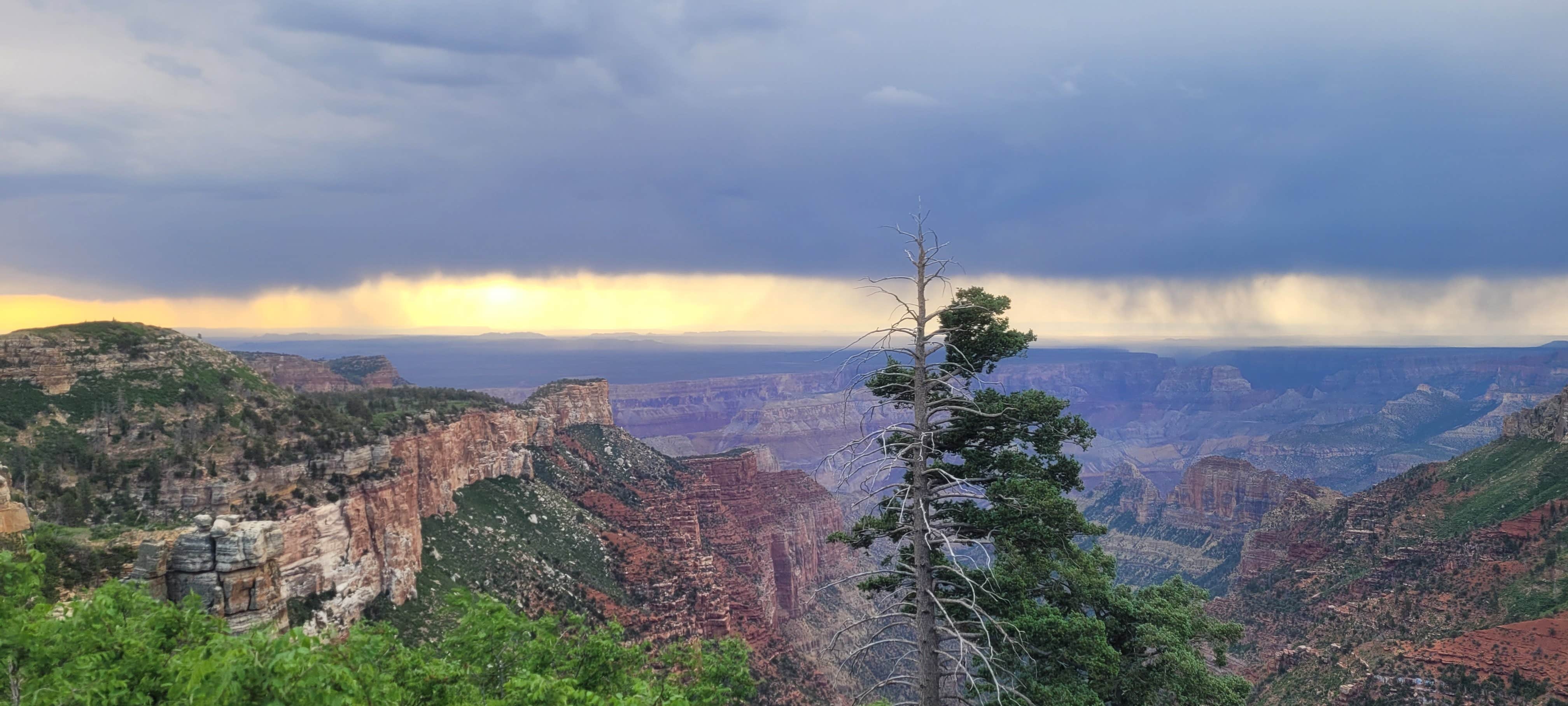 Camper-submitted photo at Saddle Canyon Outlook North Rim Dispersed near Grand Canyon National Park