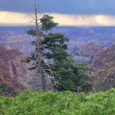 Review photo of Saddle Canyon Outlook North Rim Dispersed by Steve M., June 27, 2024