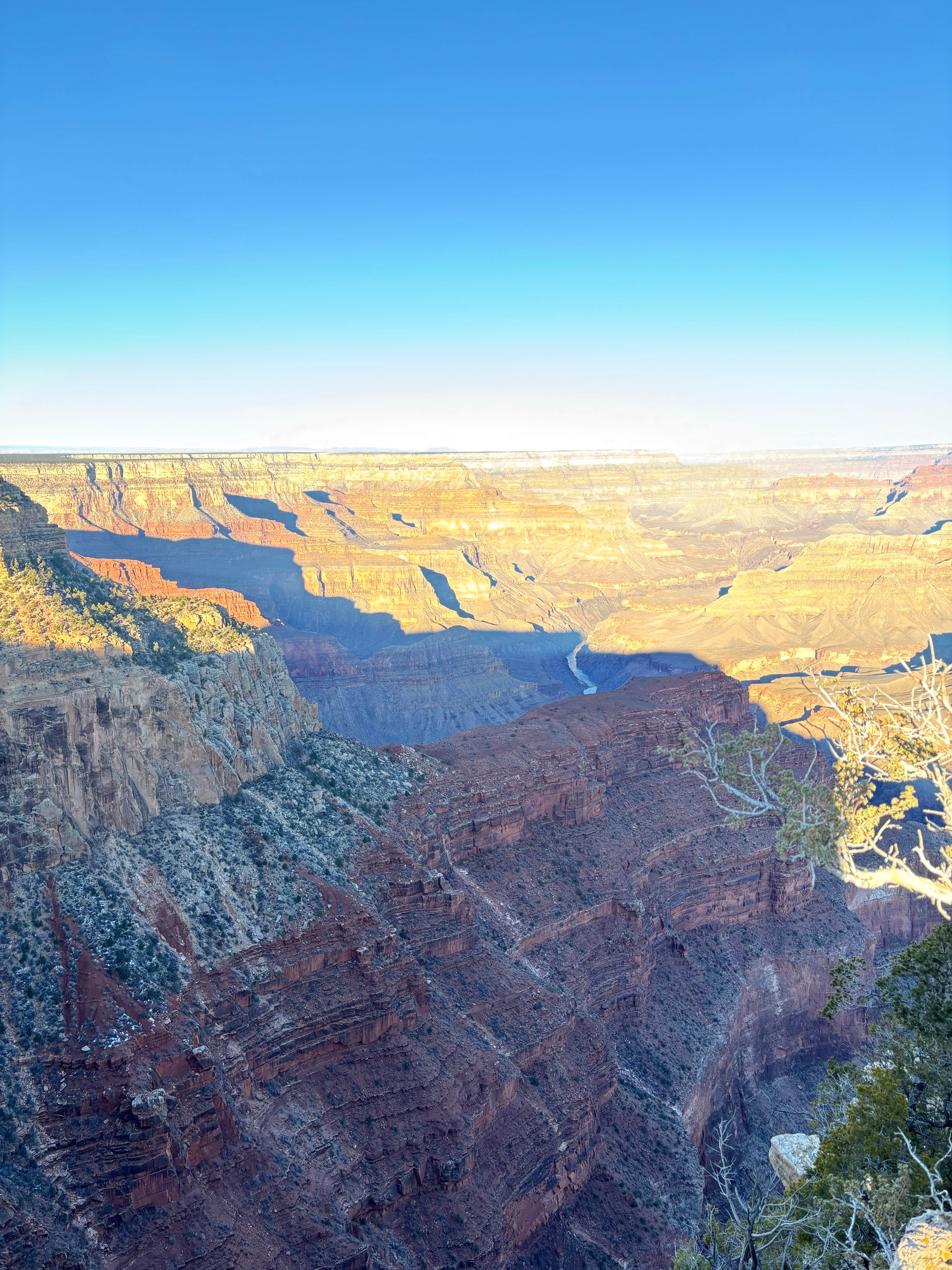 Camper submitted image from Saddle Canyon Outlook North Rim Dispersed - 1
