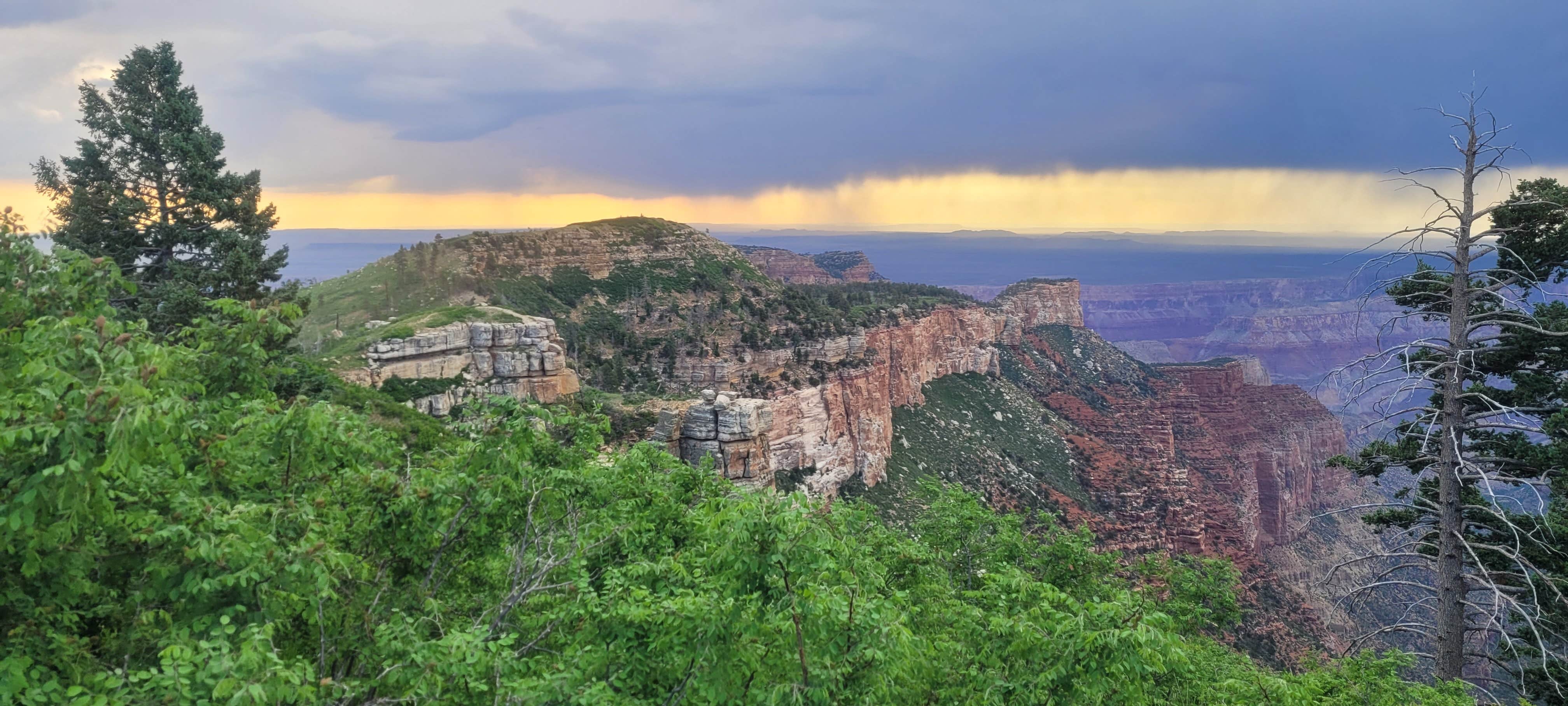 Camper submitted image from Saddle Canyon Outlook North Rim Dispersed - 2