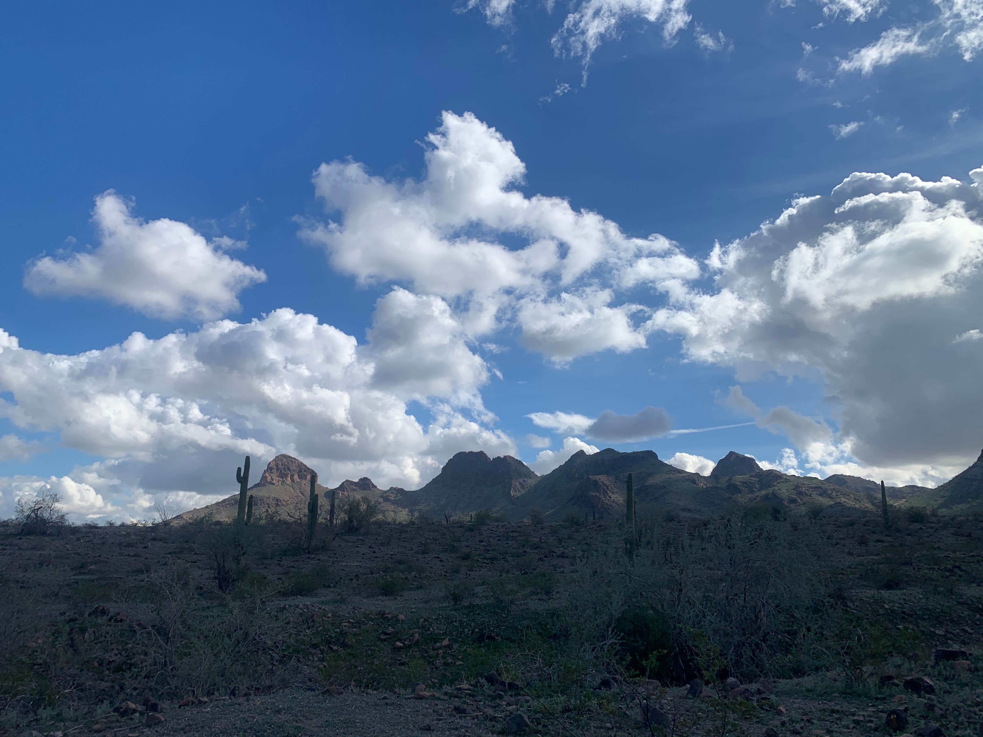 laura G.'s photo of a dispersed camping area at Saddle Mountain BLM (Tonopah, AZ) near Wittmann, AZ