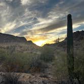 Review photo of Saddle Mountain BLM (Tonopah, AZ) by Damon H., February 8, 2025