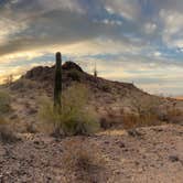 Review photo of Saddle Mountain BLM (Tonopah, AZ) by Damon H., February 8, 2025