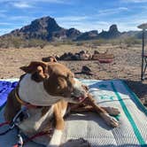 Review photo of Saddle Mountain BLM (Tonopah, AZ) by Danny T., January 28, 2024