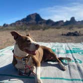 Review photo of Saddle Mountain BLM (Tonopah, AZ) by Danny T., January 28, 2024