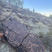 Review photo of Saddle Mountain BLM (Tonopah, AZ) by Jordan S., January 13, 2024