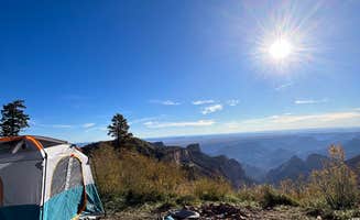 emily's photo at Saddle Mountain (Kaibab NF) near North Rim, AZ