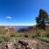Review photo of Saddle Mountain (Kaibab NF) by emily , October 14, 2023