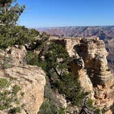 Review photo of Saddle Mountain (Kaibab NF) by shelby  C., February 2, 2024