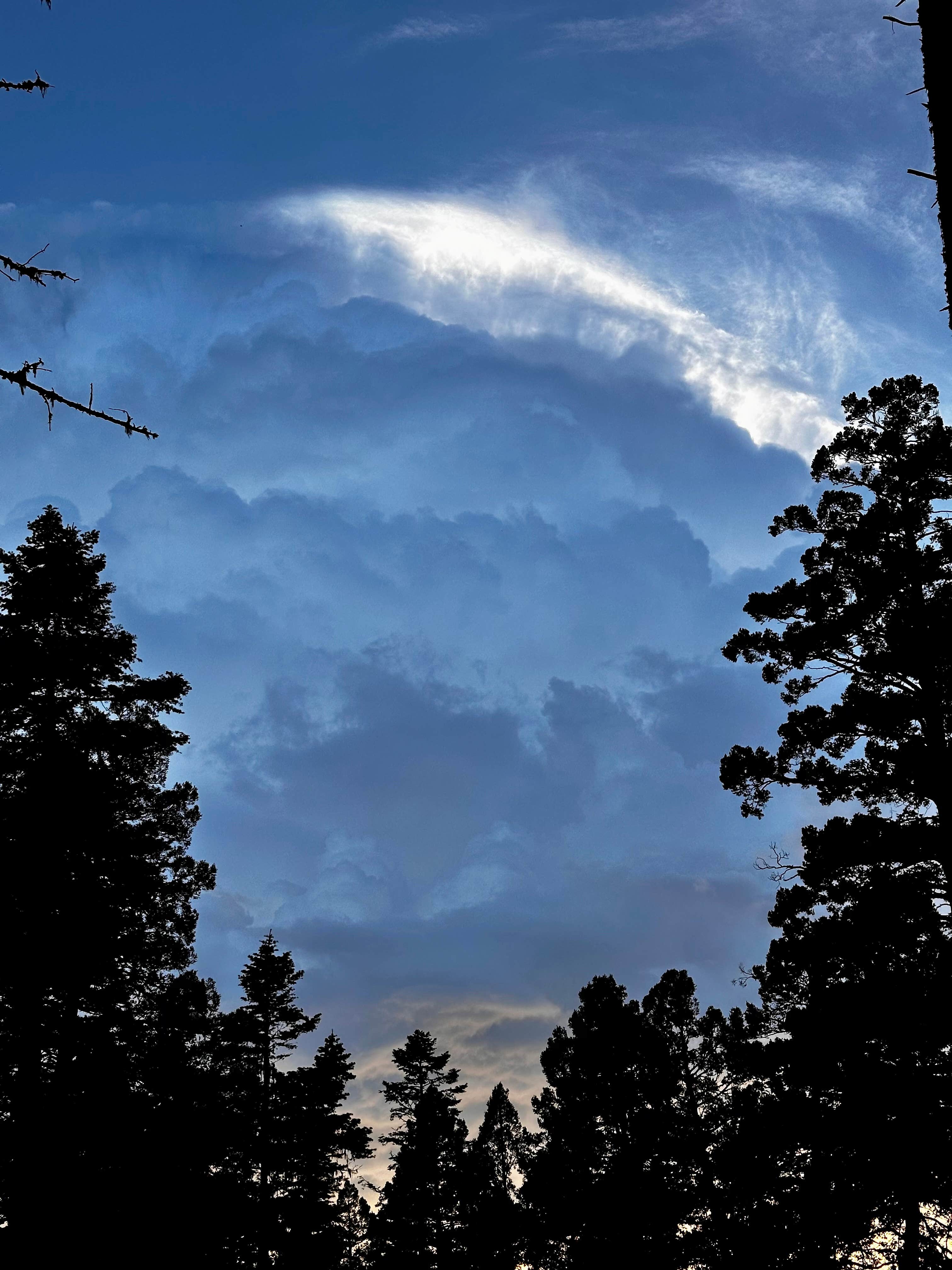Camper-submitted photo at Saddle Campground — Lincoln National Forest near Bent, NM