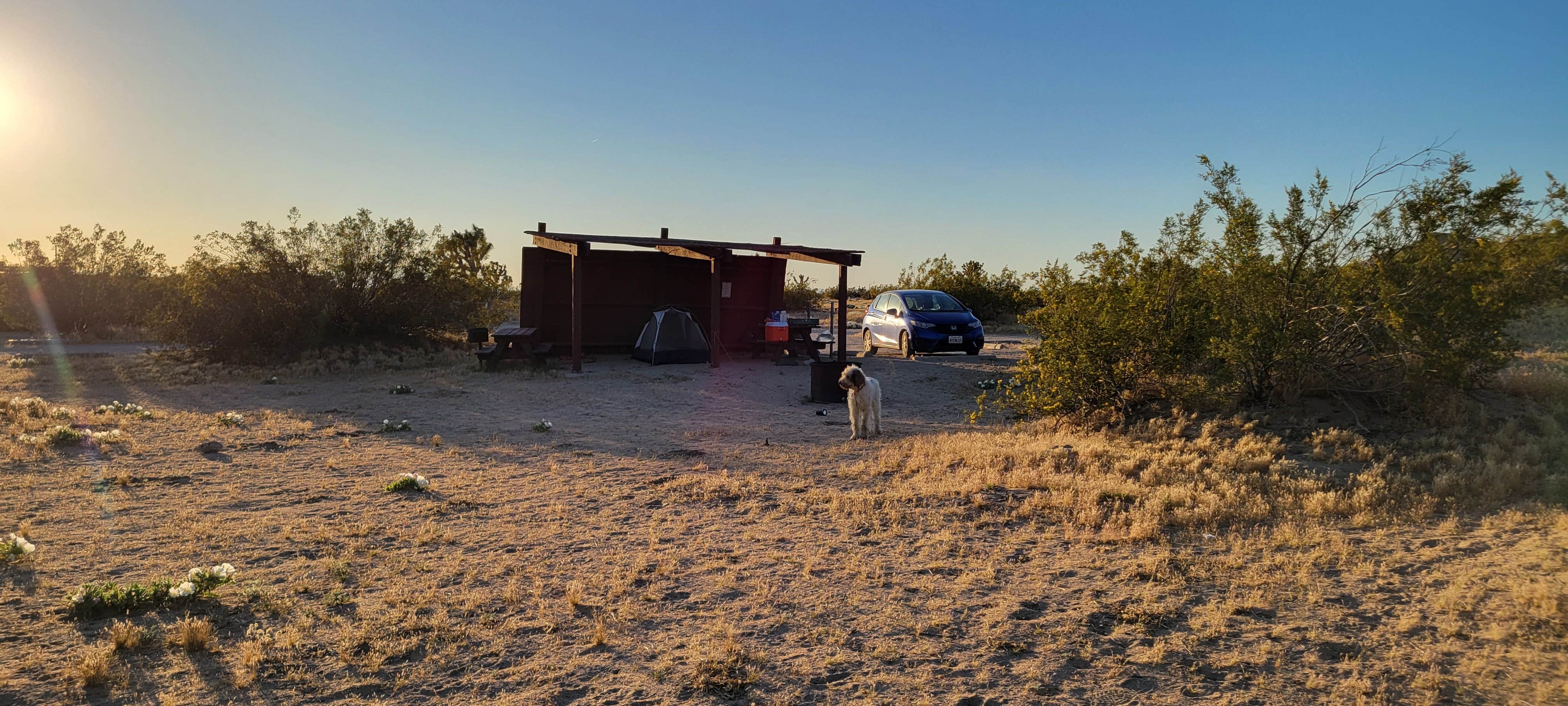 Camper submitted image from Saddleback Butte State Park Campground - 5