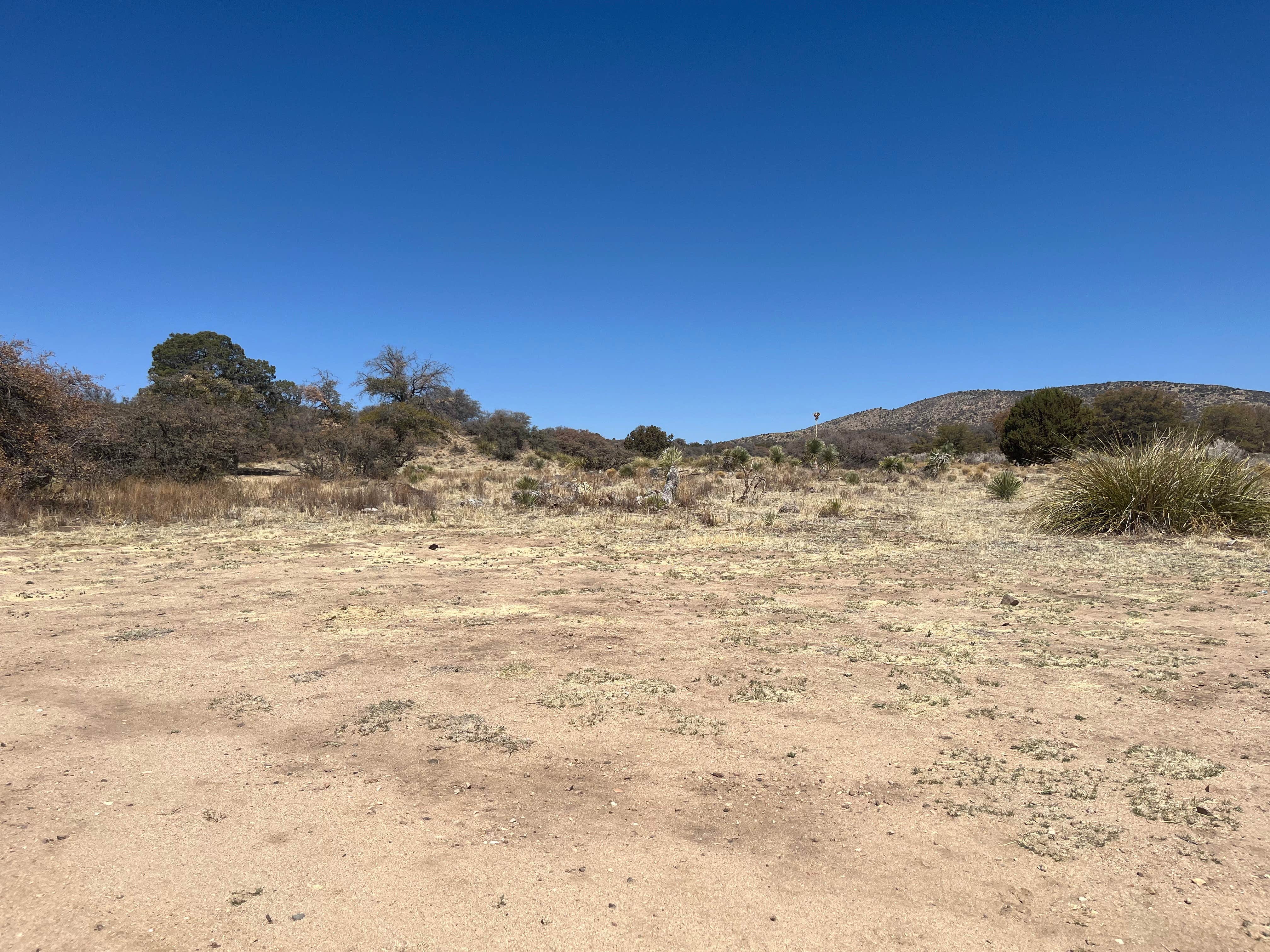 Camper-submitted photo at Safari Campsite near Hanover, NM