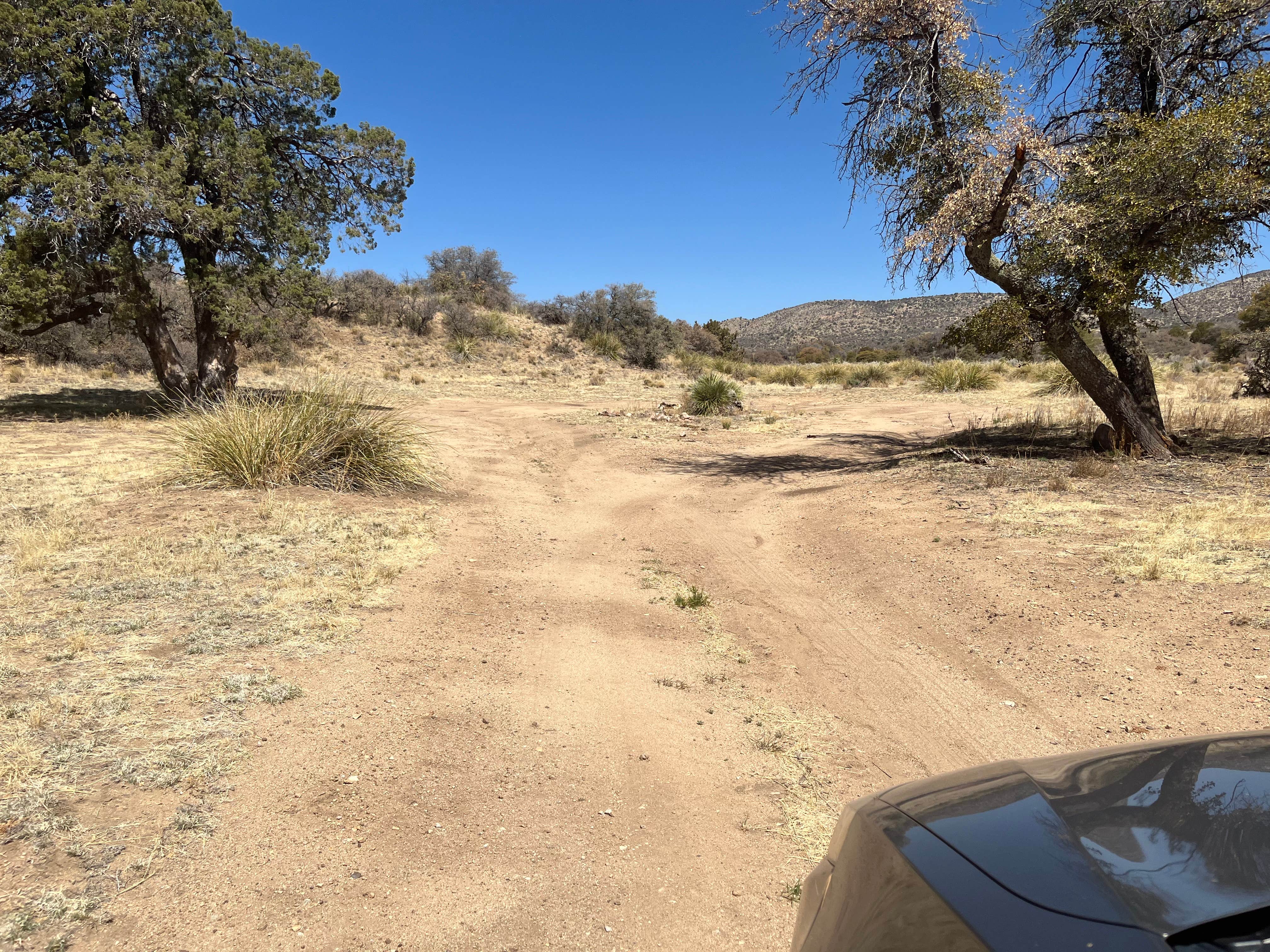 Camper-submitted photo at Safari Campsite near Hanover, NM