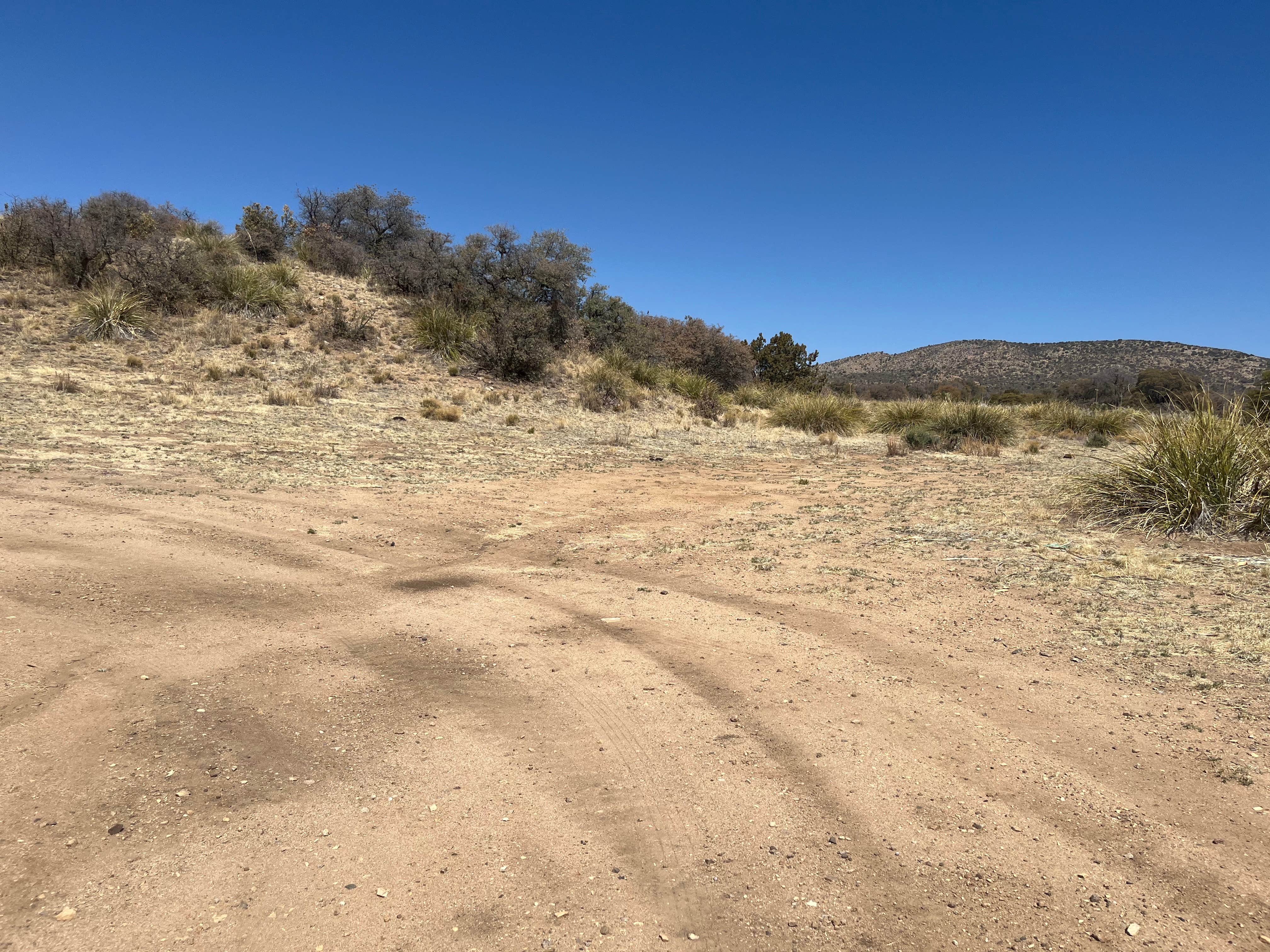 Camper-submitted photo at Safari Campsite near Hanover, NM