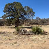 Review photo of Safari Campsite by Jonathan E., June 29, 2025