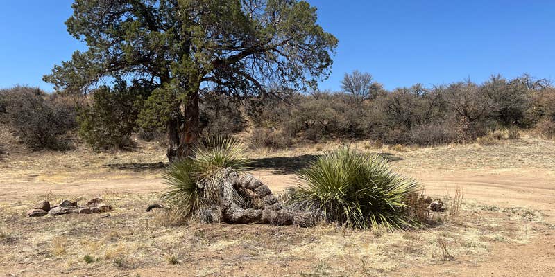 Camper submitted image from Safari Campsite
