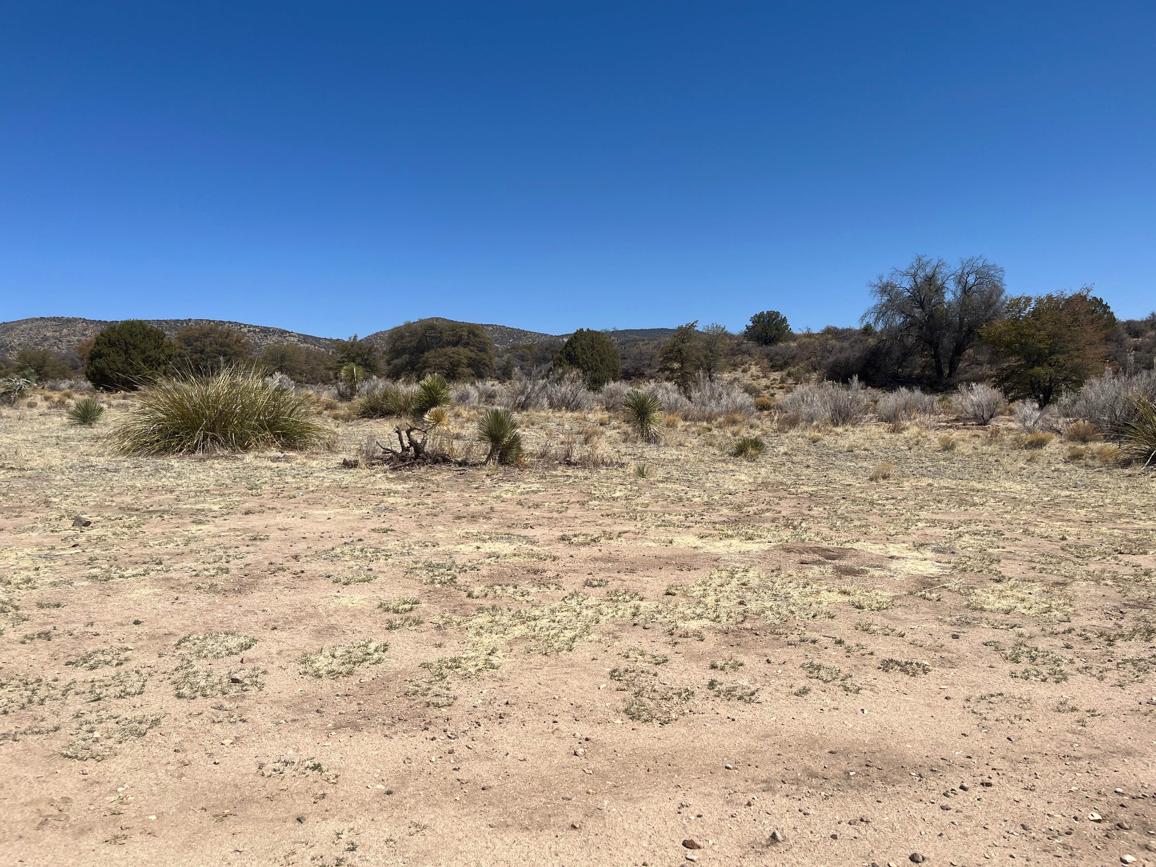 Camper-submitted photo at Safari Campsite near Hanover, NM