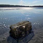 Review photo of Sagadahoc Bay Campground by Kelley M., January 19, 2025