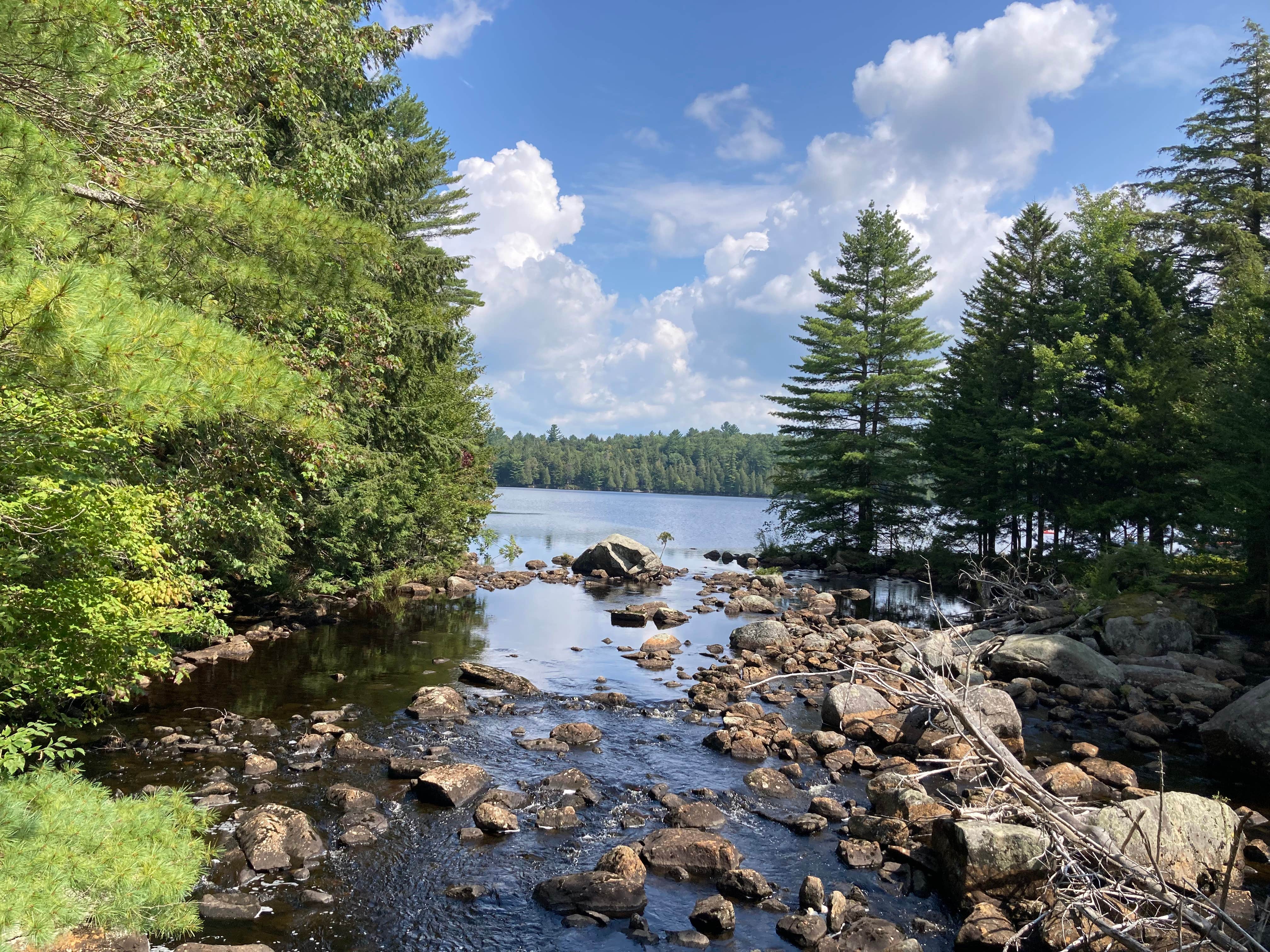 Camper-submitted photo at Sagamore Lake primitive camping, Adirondacks Blue Ridge wilderness near Oswegatchie, NY