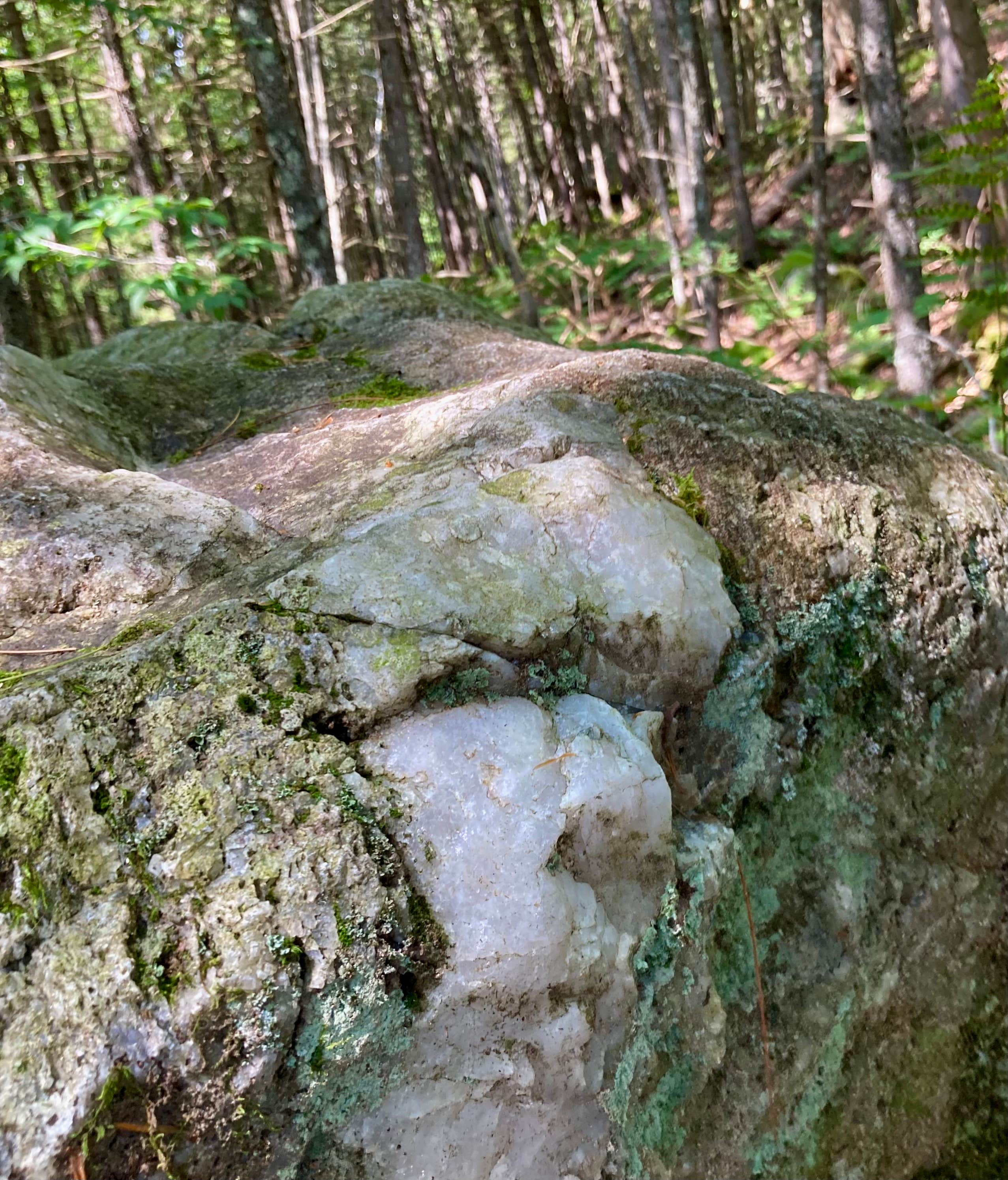 Camper-submitted photo at Sagamore Lake primitive camping, Adirondacks Blue Ridge wilderness near Oswegatchie, NY