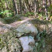 Review photo of Sagamore Lake primitive camping, Adirondacks Blue Ridge wilderness by Janet R., December 31, 2025